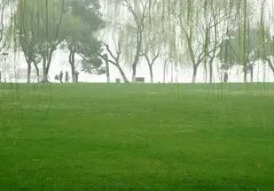 合江县美食,你的家乡是哪里?具体到县城,你觉着最好吃的美食是哪三样?图3