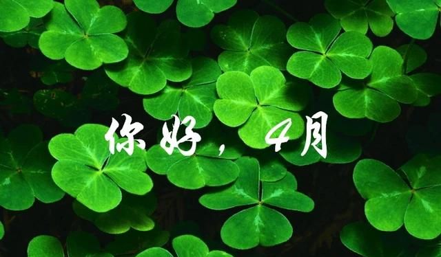 合江县美食,你的家乡是哪里?具体到县城,你觉着最好吃的美食是哪三样?图1