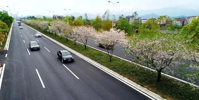 合江县美食,你的家乡是哪里?具体到县城,你觉着最好吃的美食是哪三样?图5