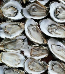 ​牡蛎怎么吃,牡蛎怎么吃壮阳补肾效果好