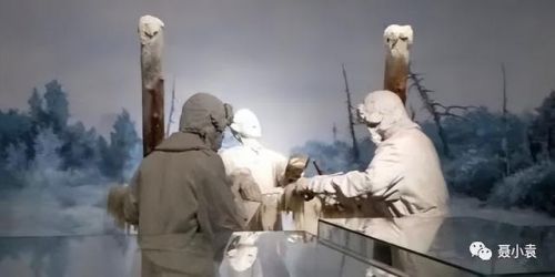 731部队女子实验历史军事 731部队女性实验三个小时-第2张图片-