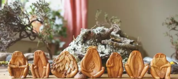 牛油果的核有什么用处,牛油果的核可以用来干什么图7