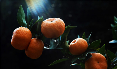 ​橘子苦了还不妨吃吗 假若是天然变苦最佳没有要吃