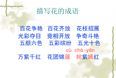 ​花的种类很多的成语,花的品种很多是哪个成语开头