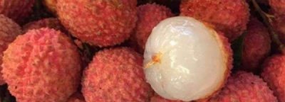 ​荔枝太酸怎么办,荔枝酸怎么办怎么吃