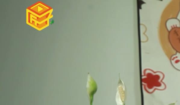 克莱登大学是什么梗(克莱登大学什么梗)