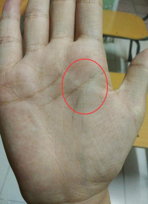 手相怎样看生男生女(命中注定生男孩)(1)