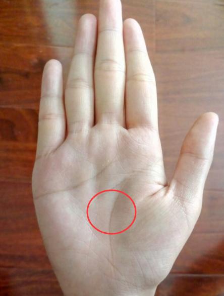 手相怎样看生男生女(命中注定生男孩)(2)