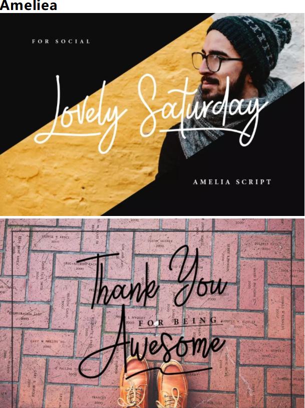 英文字体手写100种(设计师必备的100款英文手写字体)(2)