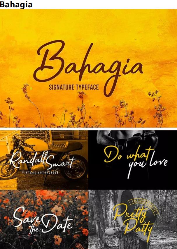 英文字体手写100种(设计师必备的100款英文手写字体)(4)