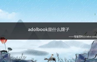 ​adolbook是什么牌子(中国台湾华硕电脑股份有限公司)