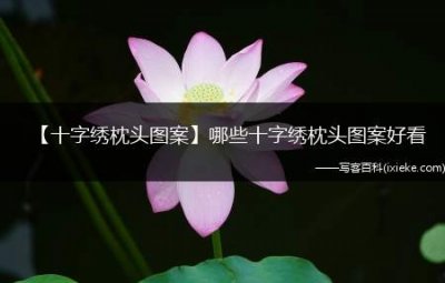 ​【十字绣枕头图案】哪些十字绣枕头图案好看