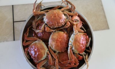 ​清蒸大闸蟹的做法步骤,清蒸大闸蟹是什么菜系