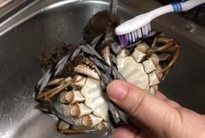 清蒸大闸蟹的做法步骤,清蒸大闸蟹是什么菜系图5