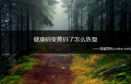 健康码变黄码了怎么恢复（健康码变成黄码的话可以进行申诉转成绿码）