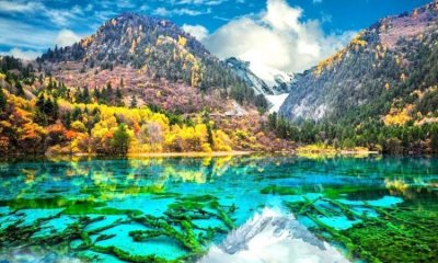 ​九寨沟在四川哪个城市，九寨沟属于四川省哪个市？