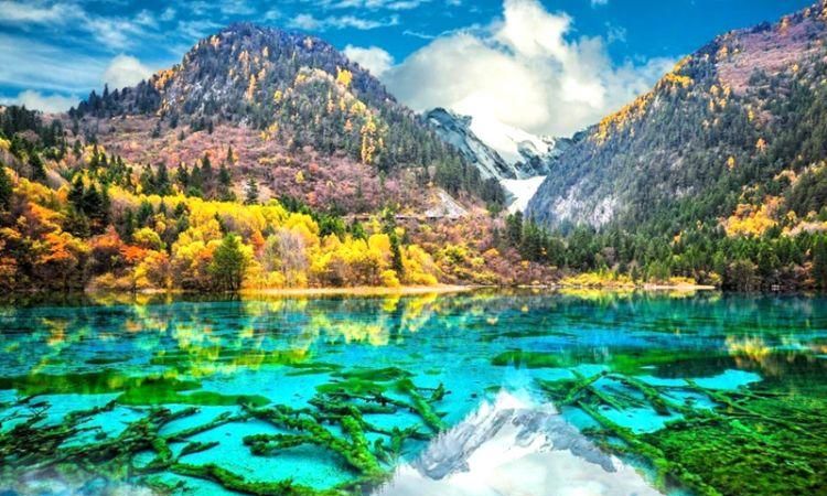 九寨沟属于四川省哪个市