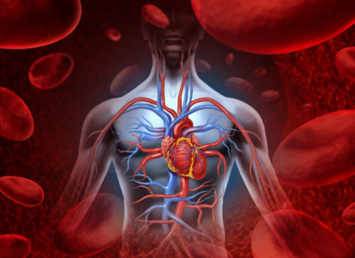 月字旁的字和什么有关,月字旁的字和什么有关?图5