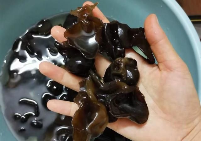 木耳可以用开水煮泡吗