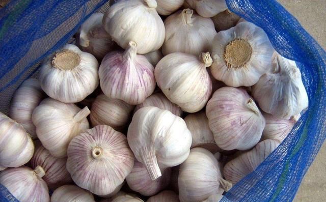 糖醋蒜为什么冒气泡，用水封口玻璃罐腌制糖蒜两天了，现在糖蒜出现冒气泡现象，这是什么原因？图5