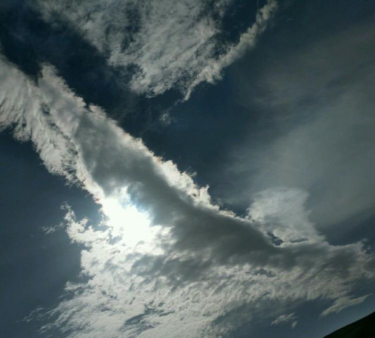 怒而飞,其翼若垂天之云而的意思