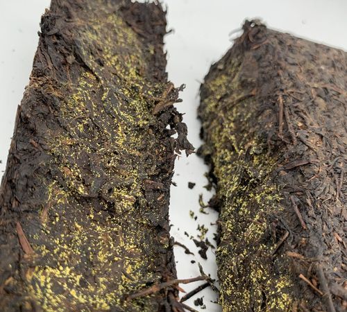 发霉的红茶叶能喝吗