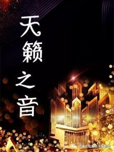 ​英国天籁之音小男孩(英国天籁之音合唱团)