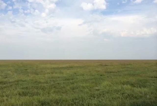 鄂尔多斯美食,鄂尔多斯特色美食有哪些?图15