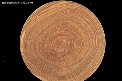 ​在北半球树的年轮较密的地方向着什么面，树的年轮较密的一面向着北方,较疏的一