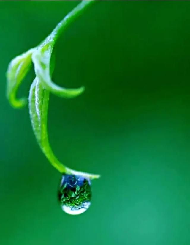 在北半球树的年轮较密的地方向着什么面,树的年轮较密的一面向着北方,较疏的一免向着什么方向?图5