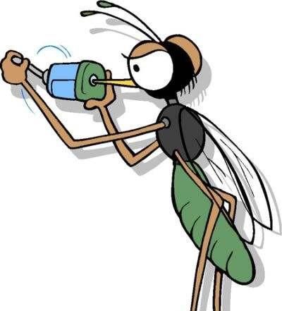 怎么消灭果蝇,怎样消灭果蝇?图3