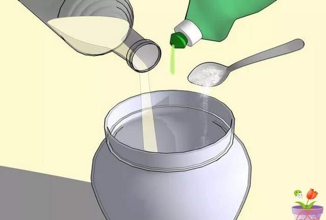 怎么消灭果蝇,怎样消灭果蝇?图5