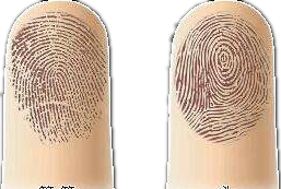 扫地装垃圾的工具叫什么,扫垃圾的工具叫什么图4