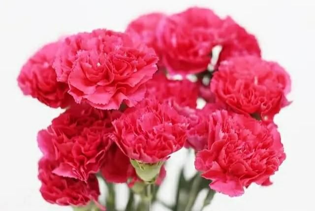 祝母亲节的祝福语,母亲节对自己和妈妈的祝福语?图8