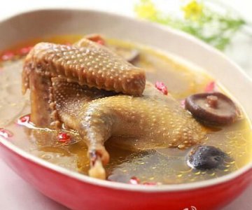 ​鸽子高压锅压多长时间,鸽子要炖多长时间才能熟高压锅