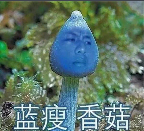 蓝瘦香菇是什么意思,蓝瘦香菇是什么意思图4