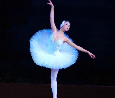 舞蹈的种类按风格特点分是(),舞蹈的种类有哪些各有什么特征图3