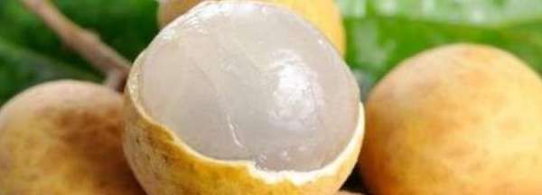 龙眼表面起白了还能吃,龙眼表面起了一层白色的雾状能吃不图5