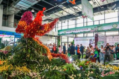​中国花卉博览会会徽含义(中国花卉博览会始办于)