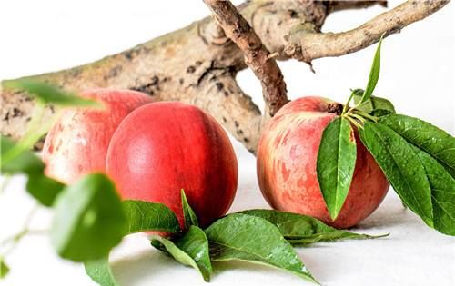 蟠桃能放冰箱冷藏吗