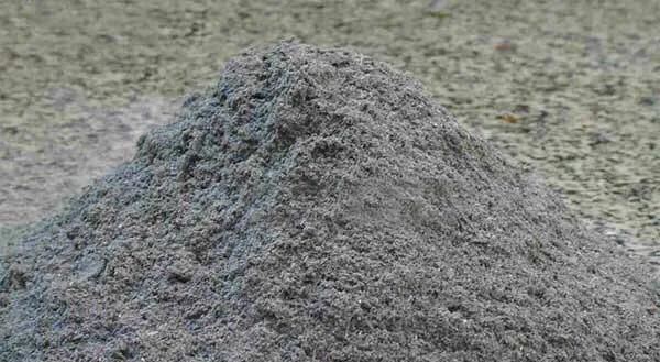 碱性蔬菜，碱性土壤适合种植什么蔬菜？图5