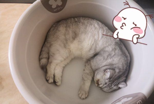 安泽名字寓意,孙安泽这个名字的含义图1