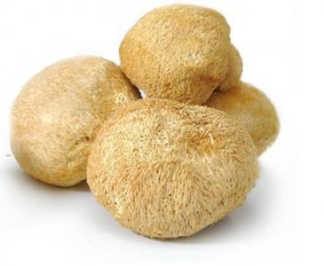 ​猴头菇可以冷冻保存吗，竹盐的香辛料是什么成分？