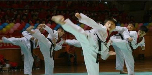 跆拳道级别查询网址,如何查询跆拳道证书图5