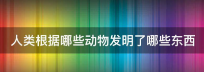 ​人们根据动物发明了什么,人类根据哪些动物发明了哪些东西以及原理