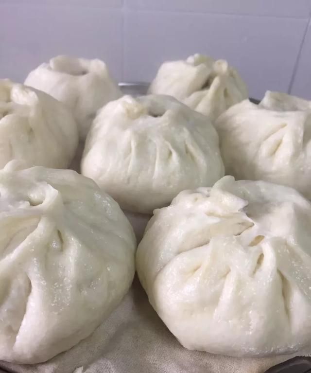 发面包子怎么发面,做包子馒头如何发酵口感更松软,酵母,和泡打粉怎么比例?图6