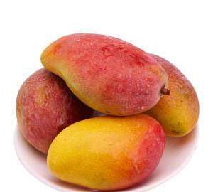 怎么判断芒果可以摘了,怎么判断芒果可以摘了图3