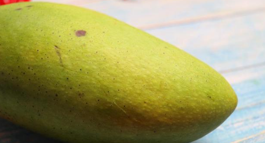 怎么判断芒果可以摘了,怎么判断芒果可以摘了图5