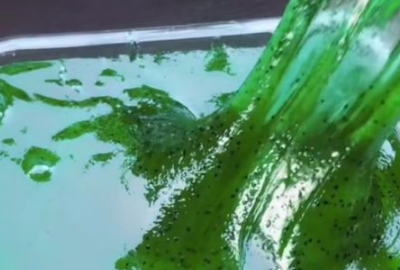 不用成型水和胶水做起泡胶,没有胶水只有成型水怎么做起泡胶图14