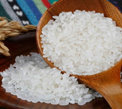 大米应该放到冰箱的冷冻还是冷藏